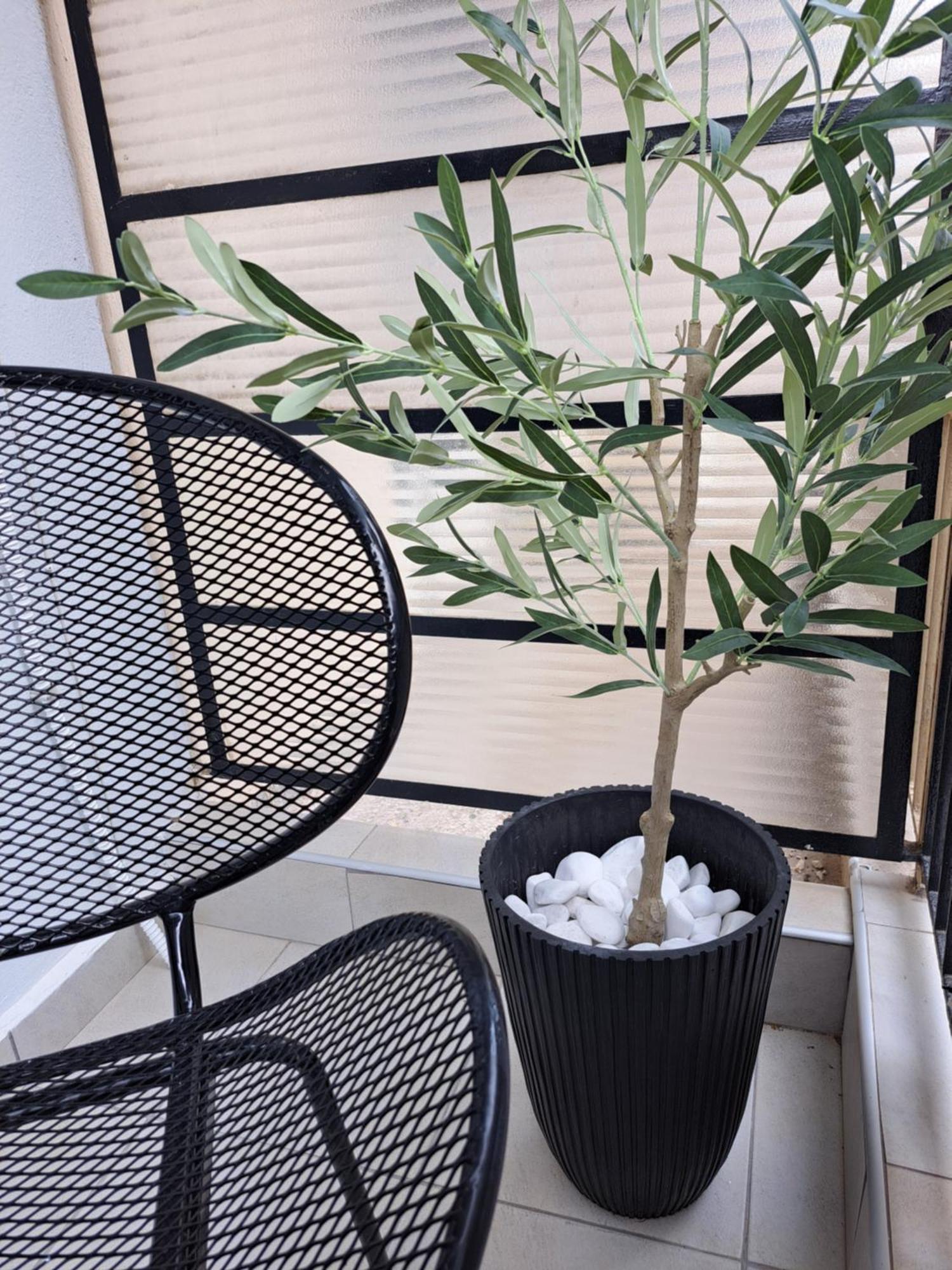Stylish City Center Apartment เซเรส ภายนอก รูปภาพ